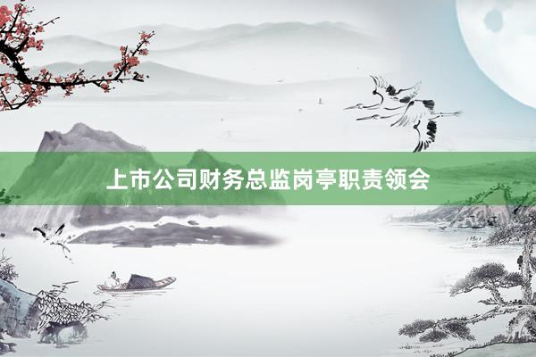 上市公司财务总监岗亭职责领会